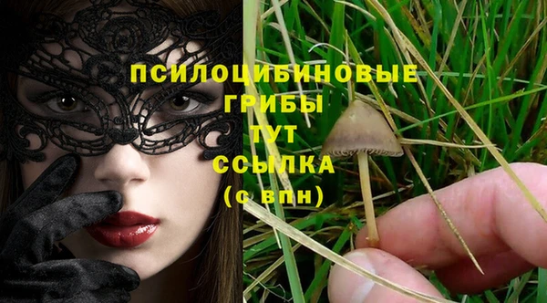 прущие крисы Надым