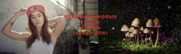 прущие крисы Навашино