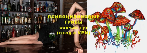 прущие крисы Надым