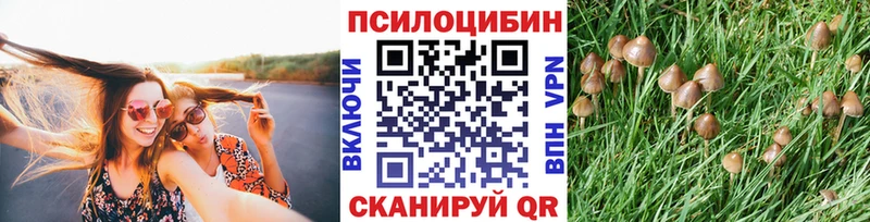 mega ссылка  купить наркотики цена  Полярный  Псилоцибиновые грибы мухоморы 
