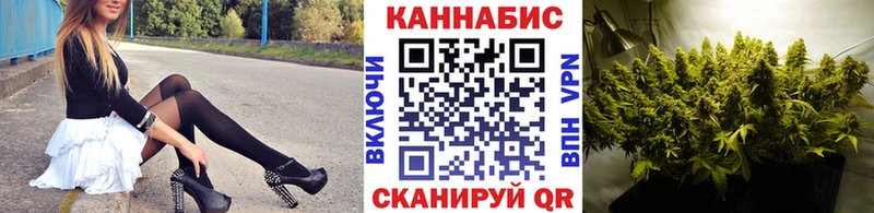 МАРИХУАНА планчик  Полярный 